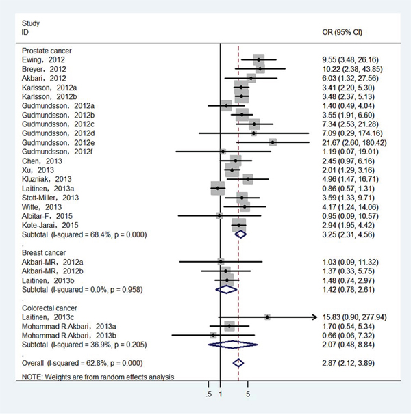 Forest plot of prostate cancer risk associated with HOXB13 p.Gly84Glu mutation.
