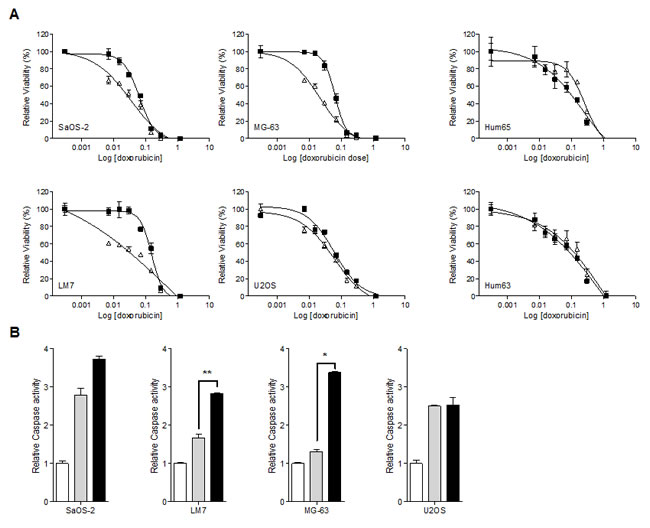 JIP1 inhibition sensitises OS cells but not normal osteoblasts to doxorubicin-induced apoptosis.