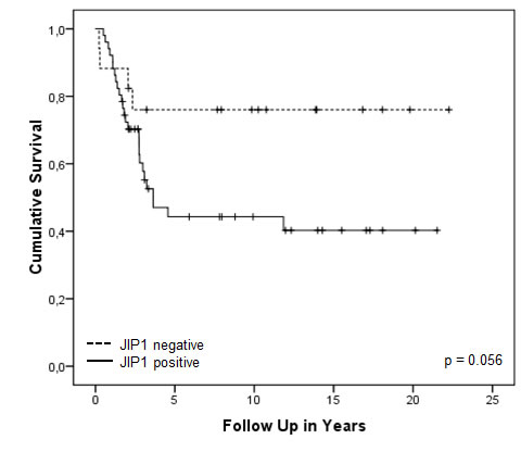 Kaplan-Meier overall survival analysis of OS patients with JIP1 positive or negative tumours.