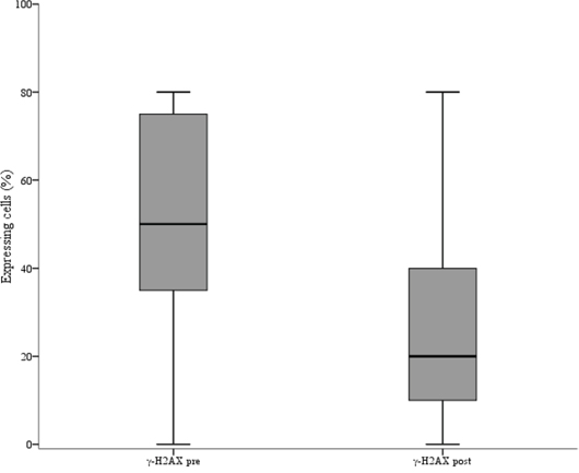 Box plot showing the distribution of &#x03B3;-H2AX values in pre and post-neoadjuvant chemotherapy samples.