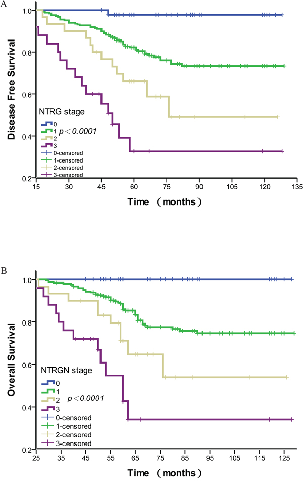 Association of the modified NTRG with disease-free and overall survival.