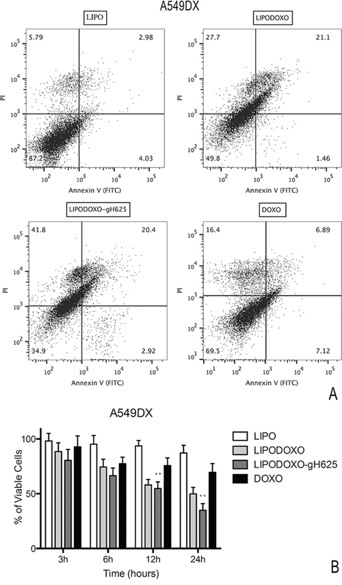 Evaluation of apoptosis in A549 Dx cells by Annexin V/PI assay (flow cytometry) after 24 h of treatment with LipoDoxo, LipoDoxo-gH625 and Doxo.