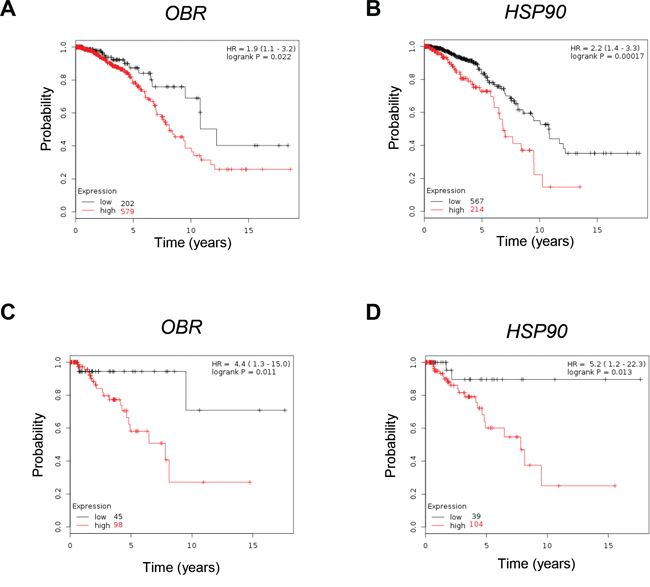 Correlation between OBR and HSP90 mRNA levels and overall survival in breast cancer.