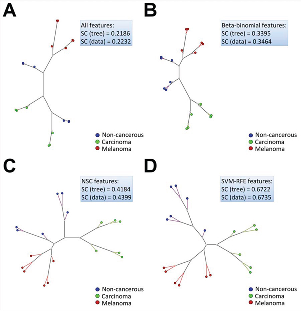 Neighbor joining (NJ) clustering calculated from a Euclidean distance matrix of the secretome dataset samples, considering