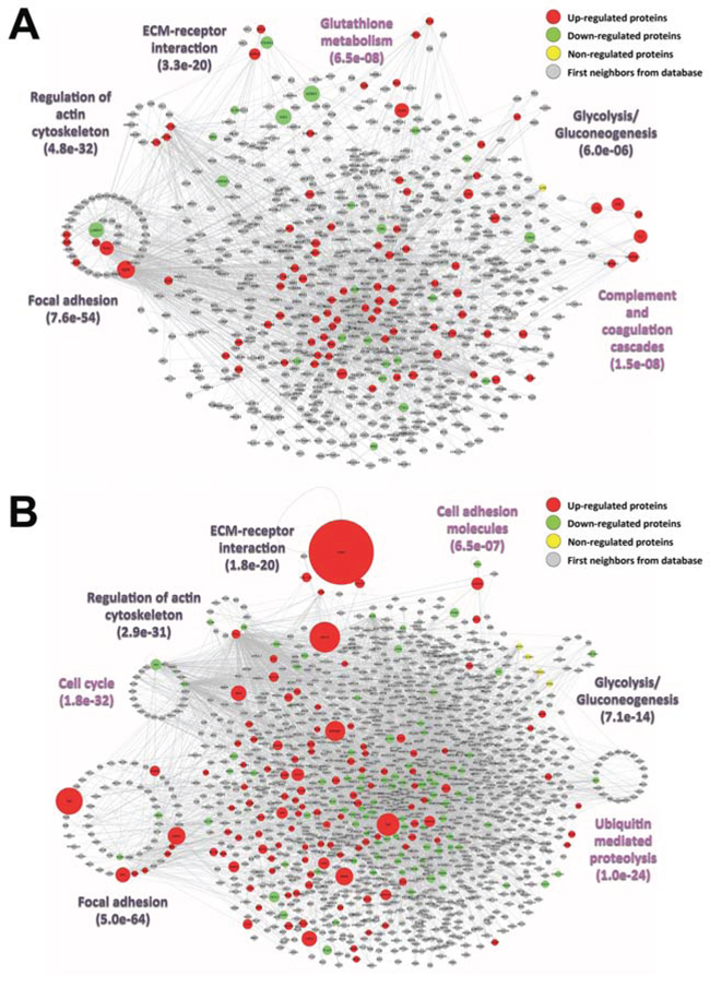 Interaction networks of the identified