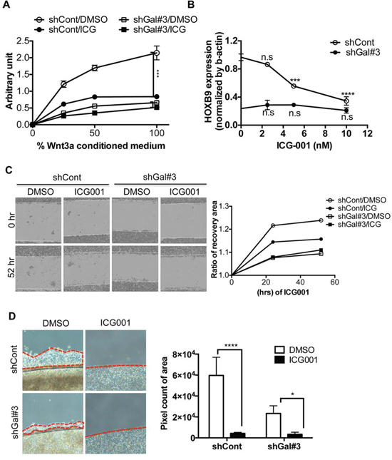 Targeting &#x03B2;-catenin for suppressing metastasis through repression of HOXB9.