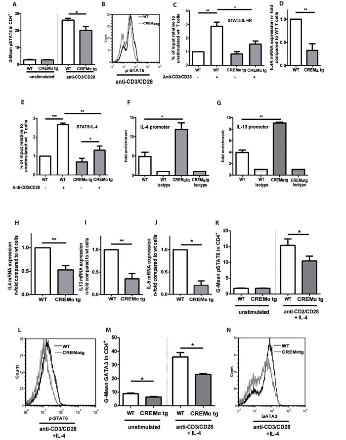 Transgenic overexpression of CREM decreases production of T