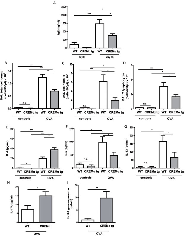 Transgenic overexpression of CREM decreases cell influx and production of T