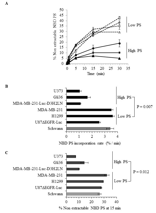 Analyses of flippase activity in different human cancer cell types.