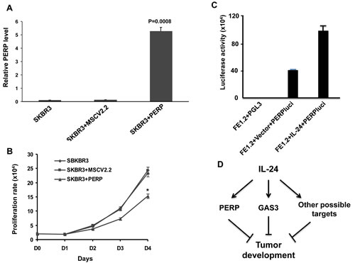 MDA-7/IL-24 regulates PERP expression.