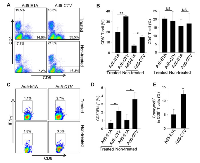 MDA-7/IL-24 enhances anti-tumor immune responses against MMTV-PyMT mammary tumors.