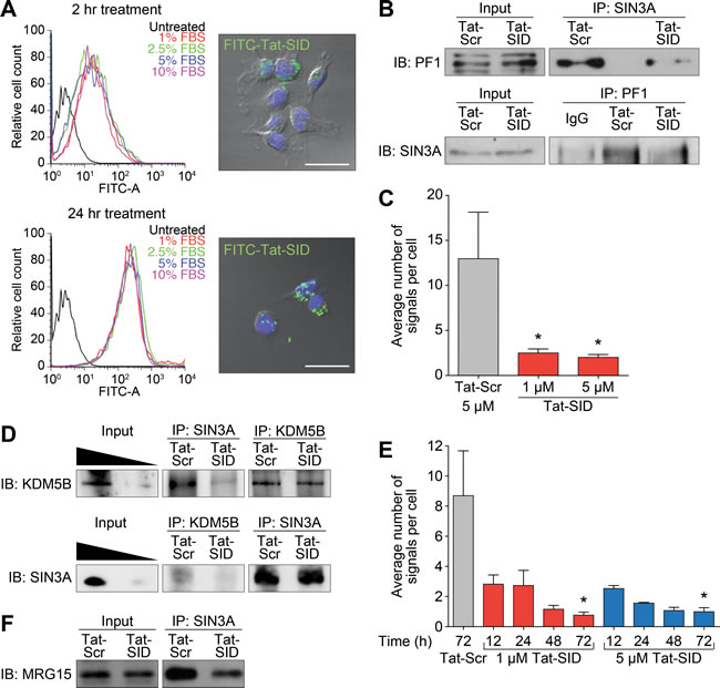 Tat-SID disrupts interaction between SIN3A and a chromatin regulating protein complex containing PF1, MRG15 and KDM5B.