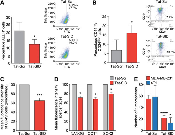 Tat-SID induces decreased expression and activity of CSC markers in TNBC cells.