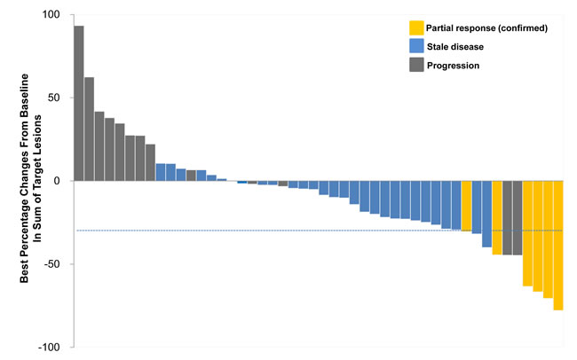 Waterfall plot of maximum percentage changes from baseline in sum of the largest diameter of target lesions (N=48).