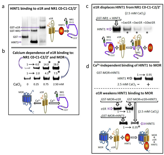 Figure 3: