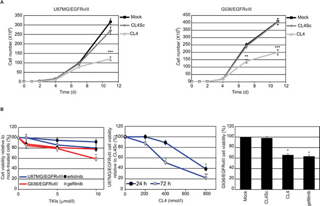 CL4 inhibits EGFRvIII-GBM cell growth.