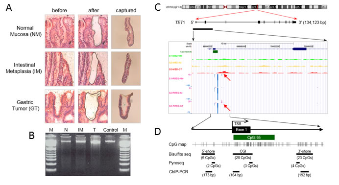 Methylation signatures proximal to the