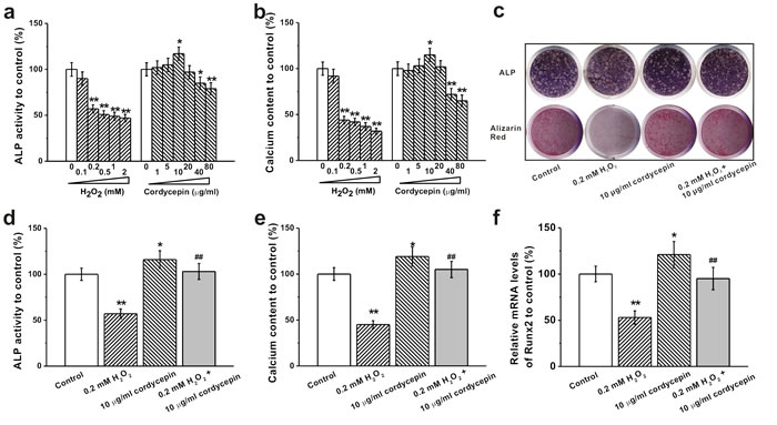 Effects of different concentrations of H