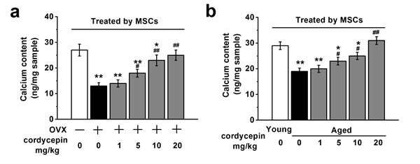 Effects of cordycepin (1, 5, 10 and 20 mg/kg) on