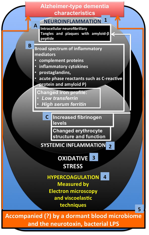 Alzheimer-type dementia (AD) and three of its main characteristics (1) neuroinflammation (2) systemic inflammation and (3) oxidative stress, where