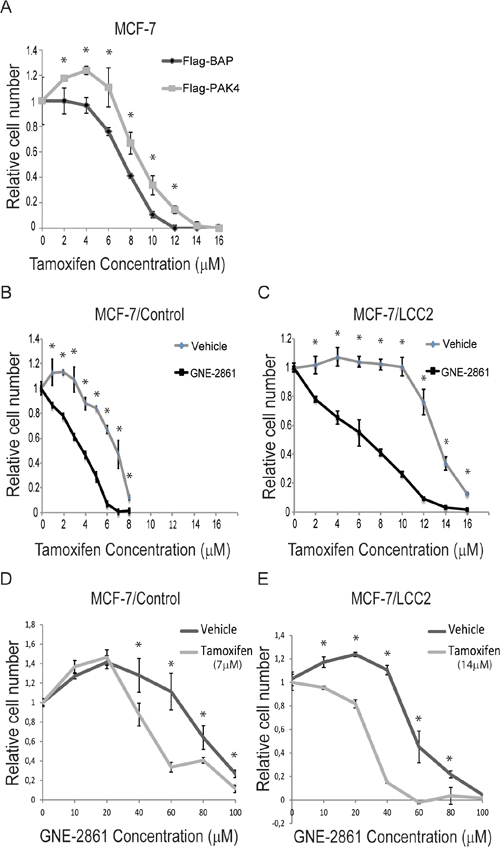 The group II PAK inhibitor GNE-2861 restores tamoxifen-sensitivity in breast cancer cells.