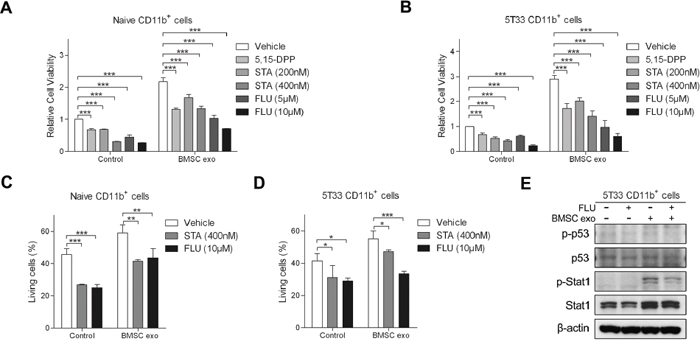 Inhibitors of STAT1 and STAT3 pathways suppress BMSC exosomes-induced survival of CD11b+ cells.