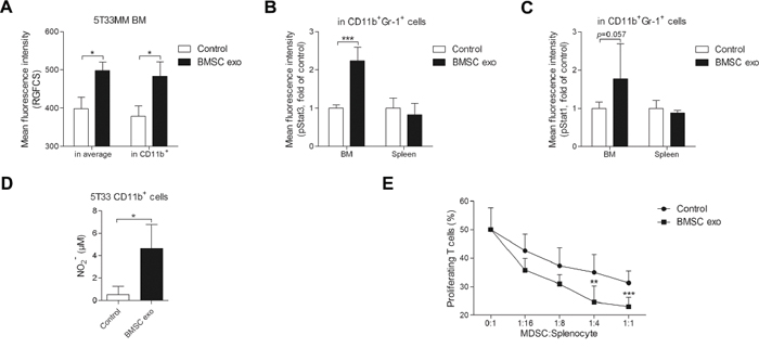 BMSC exosomes activate MDSCs in vivo and enhance their capability of T cell suppression.