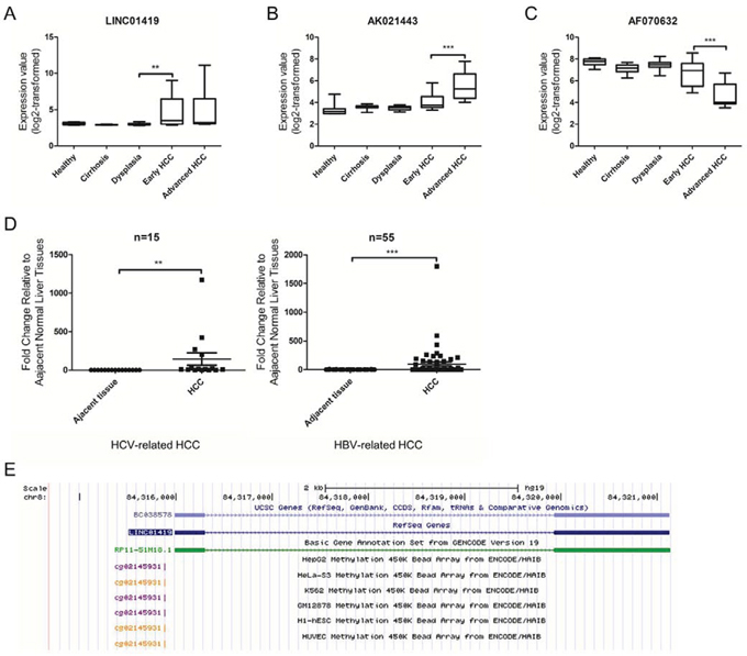 Expression of deregulated lncRNAs in HCC.