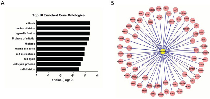 LncRNA functional prediction.