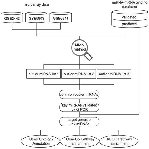 Schematic of the data analysis pipeline.