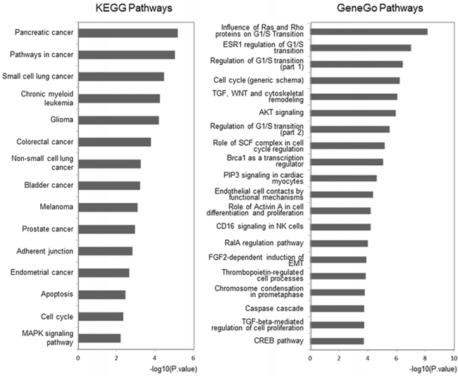 Pathway analysis for involved genes regulated by confirmed key miRNAs.