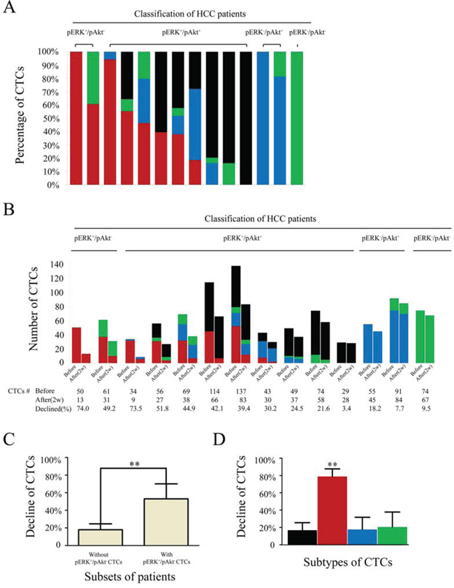 Numbers and percentages of circulating tumor cell (CTC) subtypes/total in hepatocellular carcinoma patients receiving sorafenib treatment.