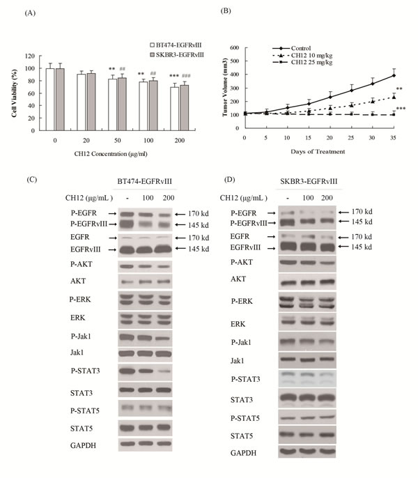 CH12 inhibited the growth of EGFRvIII