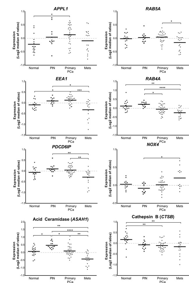 Vertical scatter plots of endosome-associated gene expression data from the Tomlins cohort [17].