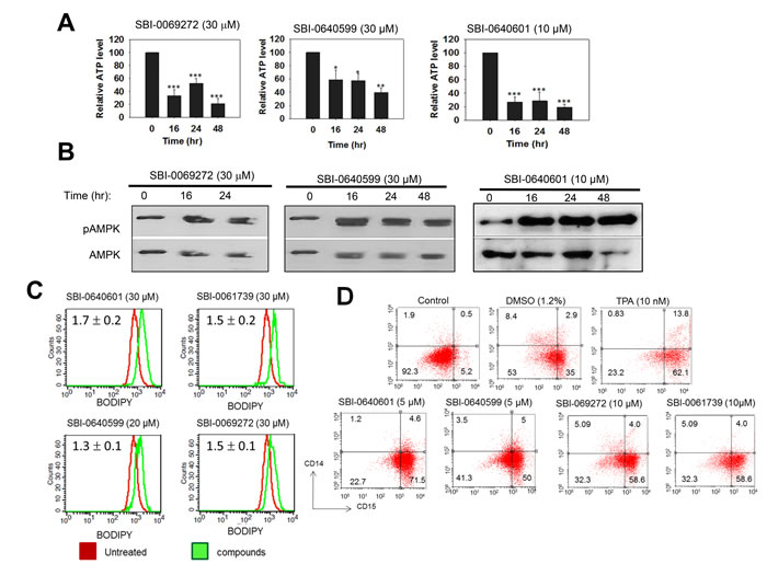 Myc inhibitors cause ATP depletion, activation of AMPK, accumulation of neutral lipid and promote myeloid differentiation.