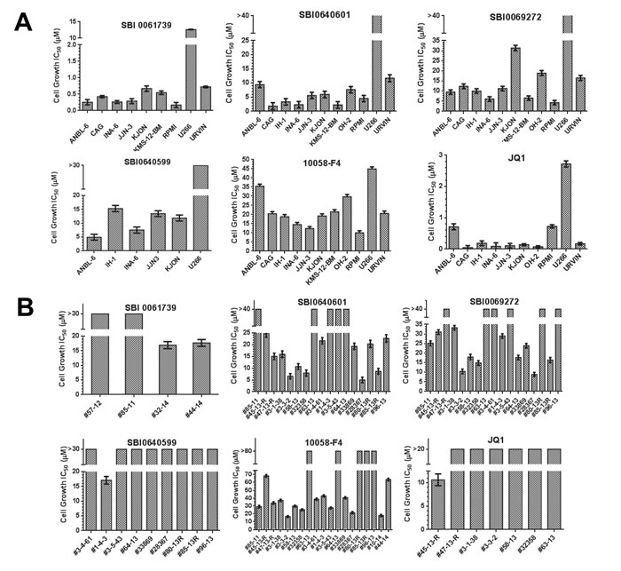 Susceptibilities of multiple myeloma cell lines and primary explants to SBI compounds.