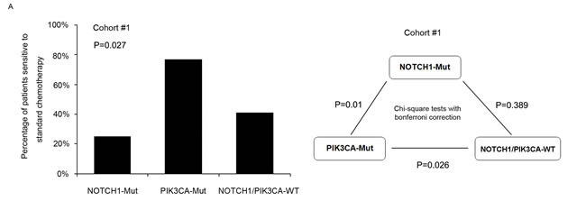 Chemotherapy response and mutation status