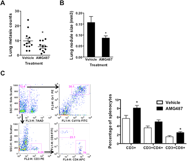 Figure 6. The anti-tumor effect of CXCR3 inhibitor AMG487 on both tumor and host compartments.