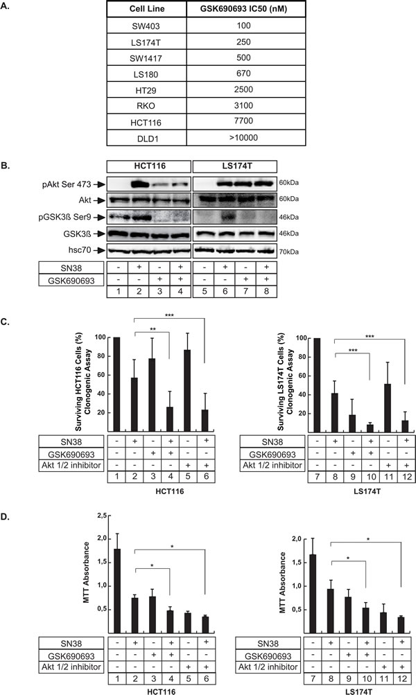 Akt inhibition enhances the effect of sn38 treatment.