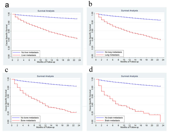 Survival analysis in patients with and without liver metastasis.