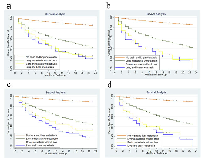 Survival analysis according to metastasis to bone and lung.