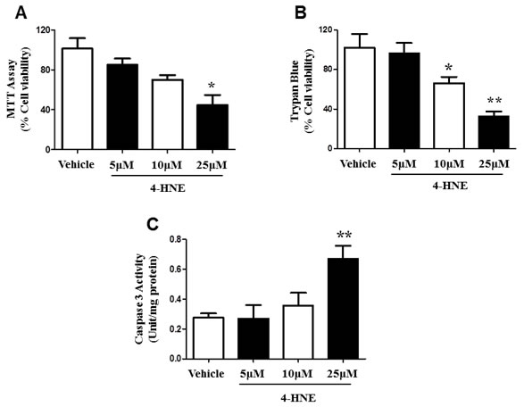 Effects of 4-HNE on SAEC viability and cleaved caspase-3.