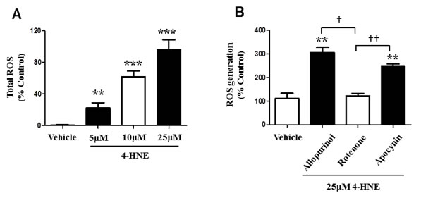 4-HNE induces generation of ROS within SAECs and is specific to the SAEC mitochondrial respiratory chain.