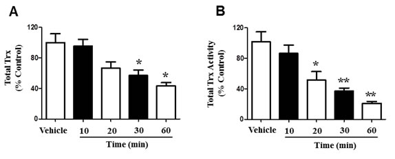 4-HNE affects the function of Trx within SAEC mitochondria.