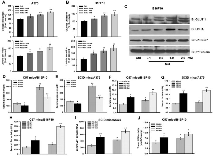 Complex I inhibition induces aerobic glycolysis.