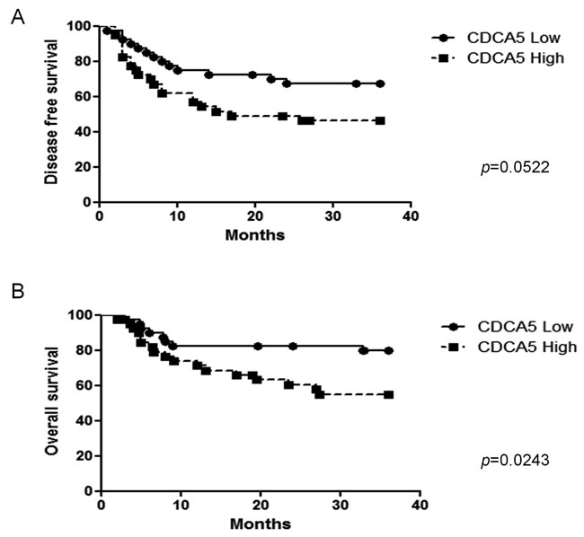 Association between CDCA5 expression level and prognosis.