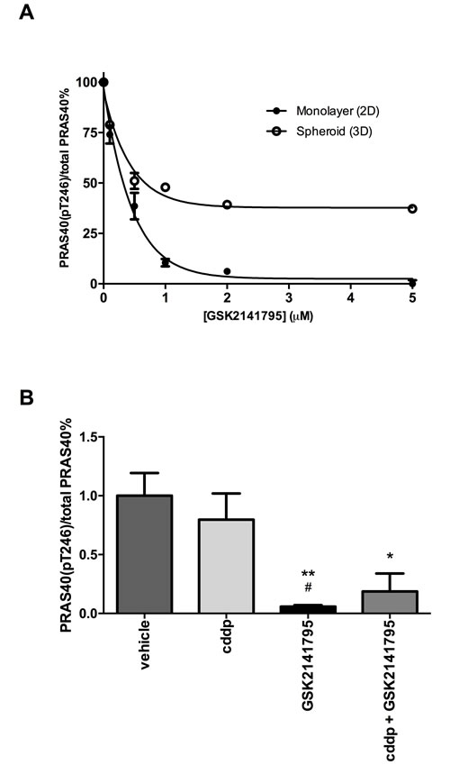 Inhibition of PRAS40 phosphorylation by GSK2141795 in SKOV3 monolayers, spheroids and xenografts.