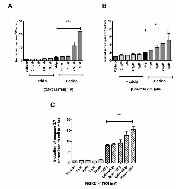 Caspase 3/7 activity in SKOV3 and PEO4 cells exposed to GSK2141795 as a single agent or in combination with cisplatin.