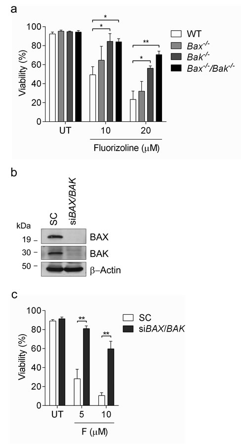 Fluorizoline-induced apoptosis occurs through the mitochondrial pathway in a BAX- and BAK-dependent manner.