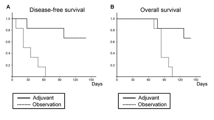 Efficacy of adjuvant